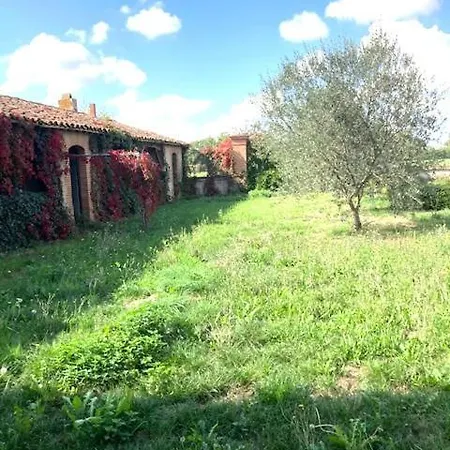 Apartment Havre De Paix - 4 Couchages - A Sur Tarn - Entre Toulouse Et Montauban